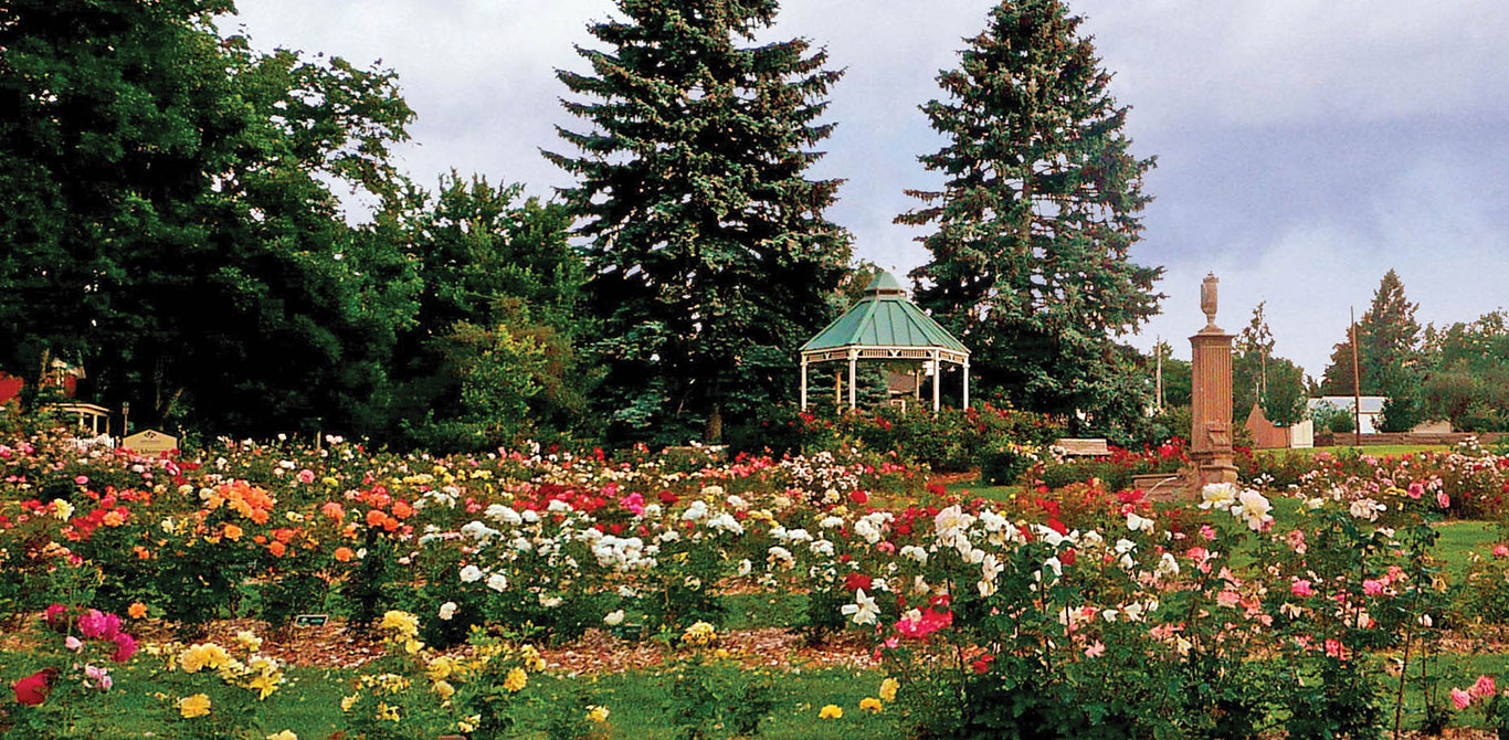 War Memorial Rose Garden