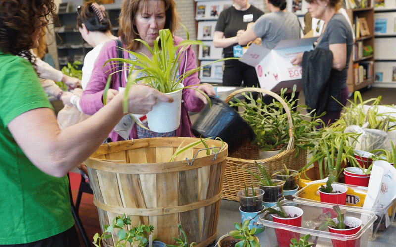 plant sale littleton