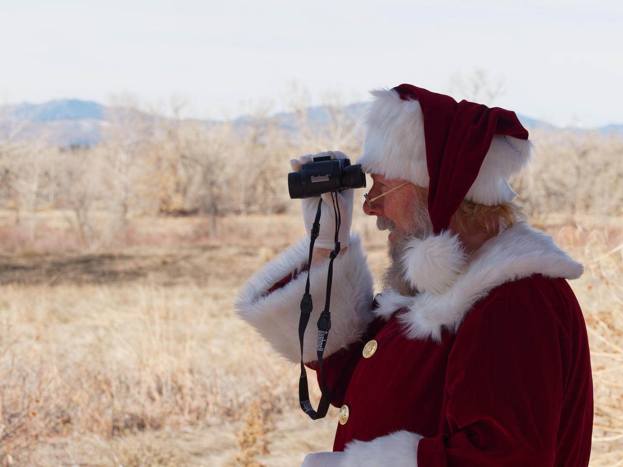 Santa's Workshop for Pets desktop